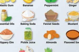 Natural Herbal Remedy Heartburn Relief: Soothe Acid Reflux The Ultimate Herbal Remedies Guide: Natural Healing for a Healthier Life Natural Herbal Remedy Heartburn Relief: Soothe Acid Reflux | The Ultimate Herbal Remedies Guide: Natural Healing for a Healthier Life