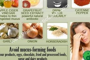 Natural Sinusitis Herbal Treatment: Relief + Remedies The Ultimate Herbal Remedies Guide: Natural Healing for a Healthier Life Natural Sinusitis Herbal Treatment: Relief + Remedies | The Ultimate Herbal Remedies Guide: Natural Healing for a Healthier Life