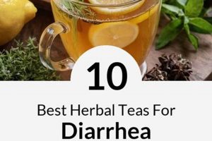 Best Herbal Teas for Diarrhea: Natural Relief Guide The Ultimate Herbal Remedies Guide: Natural Healing for a Healthier Life Best Herbal Teas for Diarrhea: Natural Relief Guide | The Ultimate Herbal Remedies Guide: Natural Healing for a Healthier Life