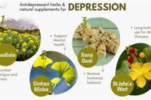 Natural Herbal Antidepressants: Boost Mood Safely? The Ultimate Herbal Remedies Guide: Natural Healing for a Healthier Life Natural Herbal Antidepressants: Boost Mood Safely? | The Ultimate Herbal Remedies Guide: Natural Healing for a Healthier Life