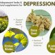 Natural Herbal Antidepressants: Boost Mood Safely? | The Ultimate Herbal Remedies Guide: Natural Healing for a Healthier Life