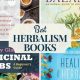 Best Herbalism Books: Your Complete Herb Guide | The Ultimate Herbal Remedies Guide: Natural Healing for a Healthier Life