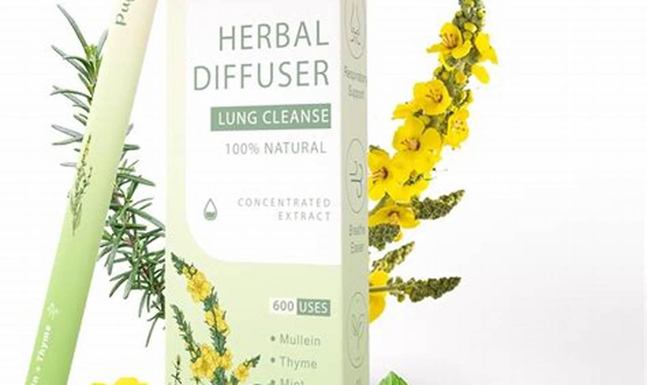 Best Herbal Diffuser Guide: Aromatherapy for You The Ultimate Herbal Remedies Guide: Natural Healing for a Healthier Life Best Herbal Diffuser Guide: Aromatherapy for You | The Ultimate Herbal Remedies Guide: Natural Healing for a Healthier Life