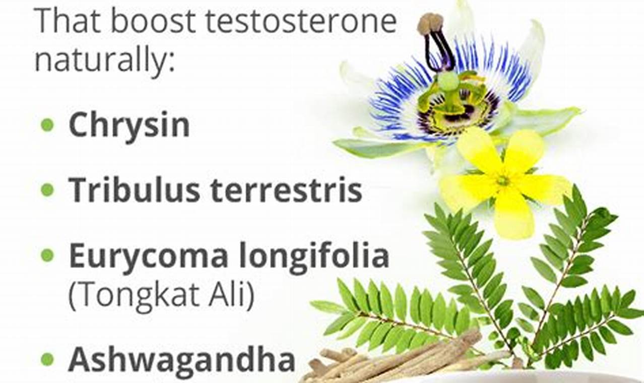 Boost Testosterone Naturally: Herbal Remedies The Ultimate Herbal Remedies Guide: Natural Healing for a Healthier Life Boost Testosterone Naturally: Herbal Remedies | The Ultimate Herbal Remedies Guide: Natural Healing for a Healthier Life