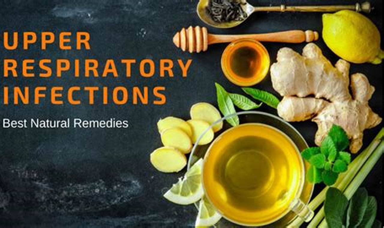 Natural Herbal Remedies for Upper Respiratory Infection Relief | The Ultimate Herbal Remedies Guide: Natural Healing for a Healthier Life