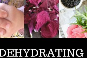 Does Herbal Tea Dehydrate You? Truth Behind Tea & Hydration | The Ultimate Herbal Remedies Guide: Natural Healing for a Healthier Life