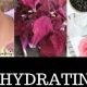 Does Herbal Tea Dehydrate You? Truth Behind Tea & Hydration | The Ultimate Herbal Remedies Guide: Natural Healing for a Healthier Life