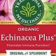Boost Immunity: Echinacea Herbal Benefits & Uses Today | The Ultimate Herbal Remedies Guide: Natural Healing for a Healthier Life