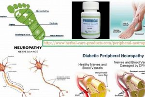 Natural Herbal Treatment for Neuropathy Relief Guide The Ultimate Herbal Remedies Guide: Natural Healing for a Healthier Life Natural Herbal Treatment for Neuropathy Relief Guide | The Ultimate Herbal Remedies Guide: Natural Healing for a Healthier Life