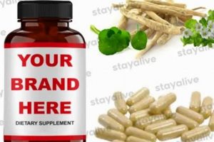 Unlock Your Mind: Herbal Memory Booster Power! The Ultimate Herbal Remedies Guide: Natural Healing for a Healthier Life Unlock Your Mind: Herbal Memory Booster Power! | The Ultimate Herbal Remedies Guide: Natural Healing for a Healthier Life