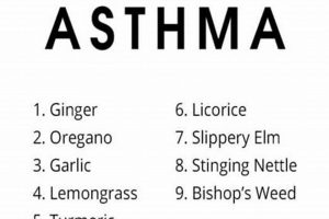 Natural Herbal Supplements for Asthma Relief | The Ultimate Herbal Remedies Guide: Natural Healing for a Healthier Life