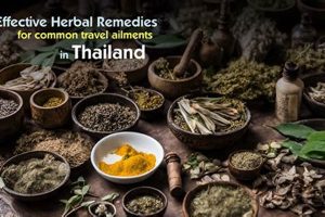 Natural Thai Herbal Remedies: Ancient Wisdom The Ultimate Herbal Remedies Guide: Natural Healing for a Healthier Life Natural Thai Herbal Remedies: Ancient Wisdom | The Ultimate Herbal Remedies Guide: Natural Healing for a Healthier Life