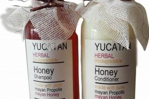 Ancient Yucatan Herbal Remedies: Nature's Secrets | The Ultimate Herbal Remedies Guide: Natural Healing for a Healthier Life