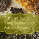 Soothing Herbal Tea for Asthma Relief: Breathe Easy | The Ultimate Herbal Remedies Guide: Natural Healing for a Healthier Life