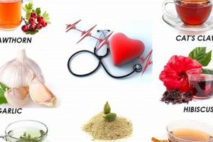 Natural Herbal Treatment for High Blood Pressure Relief | The Ultimate Herbal Remedies Guide: Natural Healing for a Healthier Life