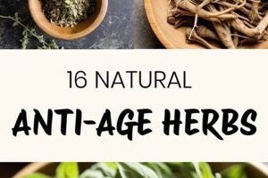 Best Anti Aging Herbal Remedies: Nature's Secret | The Ultimate Herbal Remedies Guide: Natural Healing for a Healthier Life