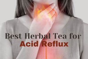 Top Best Herbal for Acid Reflux Relief: Natural Soothers! | The Ultimate Herbal Remedies Guide: Natural Healing for a Healthier Life
