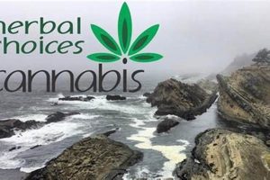 Your Best Herbal Choices: Natural Remedies | The Ultimate Herbal Remedies Guide: Natural Healing for a Healthier Life