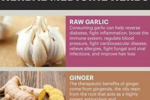 Top Herbal Supplements Examples + Uses & Benefits | The Ultimate Herbal Remedies Guide: Natural Healing for a Healthier Life
