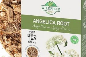Discover Angelica Herbal Tea: Benefits & Brews! | The Ultimate Herbal Remedies Guide: Natural Healing for a Healthier Life
