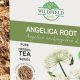Discover Angelica Herbal Tea: Benefits & Brews! | The Ultimate Herbal Remedies Guide: Natural Healing for a Healthier Life