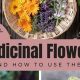 Benefits of Herbal Flowers: Natural Wellness Blossoms | The Ultimate Herbal Remedies Guide: Natural Healing for a Healthier Life