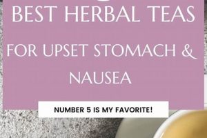 Quick Herbal Remedy for Stomach Upset: Relief Now! | The Ultimate Herbal Remedies Guide: Natural Healing for a Healthier Life