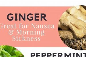 Tea Time: What Herbal Teas Are Safe During Pregnancy Guide | The Ultimate Herbal Remedies Guide: Natural Healing for a Healthier Life