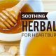 Best Herbal Tea for Heartburn Relief: Natural Soothers | The Ultimate Herbal Remedies Guide: Natural Healing for a Healthier Life