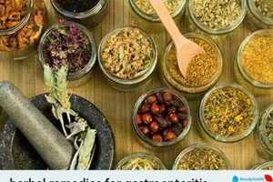Natural Herbal Remedies for Gastroenteritis Relief | The Ultimate Herbal Remedies Guide: Natural Healing for a Healthier Life