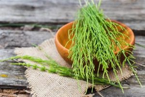 The Power of Herbal Horsetail: Benefits & Uses | The Ultimate Herbal Remedies Guide: Natural Healing for a Healthier Life