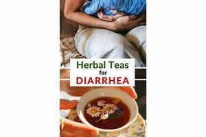 Can Herbal Tea Cause Diarrhea? Risks & Relief Tips | The Ultimate Herbal Remedies Guide: Natural Healing for a Healthier Life
