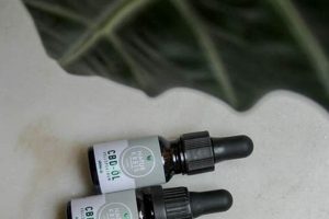 Natural Herbal Hallucinogenic Plants: Uses & Risks The Ultimate Herbal Remedies Guide: Natural Healing for a Healthier Life Natural Herbal Hallucinogenic Plants: Uses & Risks | The Ultimate Herbal Remedies Guide: Natural Healing for a Healthier Life