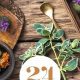 Learn Herbals: Free Herbalism Courses Online Guide | The Ultimate Herbal Remedies Guide: Natural Healing for a Healthier Life