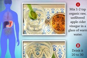 Natural Herbal Remedy for Acid Reflux: Soothe Gut Fast | The Ultimate Herbal Remedies Guide: Natural Healing for a Healthier Life