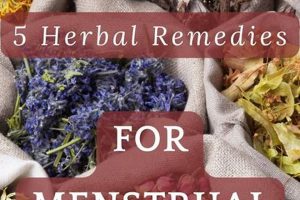 Natural Herbal Remedies for Period Cramps Relief | The Ultimate Herbal Remedies Guide: Natural Healing for a Healthier Life