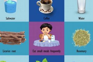 Natural Herbal Remedies for Blood Pressure Support | The Ultimate Herbal Remedies Guide: Natural Healing for a Healthier Life