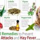 Natural Herbal Treatment for Hay Fever: Relief Tips | The Ultimate Herbal Remedies Guide: Natural Healing for a Healthier Life