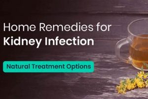 Natural Kidney Infection Herbal Cure: Relief & Prevention | The Ultimate Herbal Remedies Guide: Natural Healing for a Healthier Life