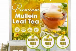 Discover Mullein Herbal Tea: Benefits & Brew Tips | The Ultimate Herbal Remedies Guide: Natural Healing for a Healthier Life