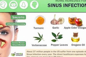 Natural Herbal Remedy for Sinus Infection Relief Today | The Ultimate Herbal Remedies Guide: Natural Healing for a Healthier Life