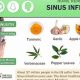 Natural Herbal Remedy for Sinus Infection Relief Today | The Ultimate Herbal Remedies Guide: Natural Healing for a Healthier Life
