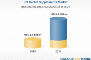 Boost Health: Herbal Supplements Guide Tips | The Ultimate Herbal Remedies Guide: Natural Healing for a Healthier Life