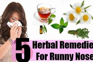 Best Herbal Tea for Runny Nose Relief: Sip Away Congestion | The Ultimate Herbal Remedies Guide: Natural Healing for a Healthier Life