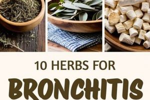 Natural Herbal Remedies Bronchitis Relief Tips | The Ultimate Herbal Remedies Guide: Natural Healing for a Healthier Life