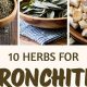 Natural Herbal Remedies Bronchitis Relief Tips | The Ultimate Herbal Remedies Guide: Natural Healing for a Healthier Life