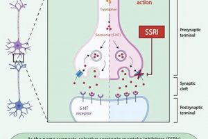 Natural Boost: Herbal Serotonin Reuptake for Mood | The Ultimate Herbal Remedies Guide: Natural Healing for a Healthier Life