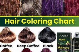 Best Herbal Color Shampoo: Naturally Beautiful Hair | The Ultimate Herbal Remedies Guide: Natural Healing for a Healthier Life