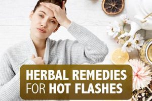 Natural Herbal for Hot Flashes Relief: Options & Tips | The Ultimate Herbal Remedies Guide: Natural Healing for a Healthier Life