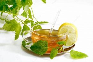 Best Herbal Tea: Lemon Balm for Calm + Sleepy Tea The Ultimate Herbal Remedies Guide: Natural Healing for a Healthier Life Best Herbal Tea: Lemon Balm for Calm + Sleepy Tea | The Ultimate Herbal Remedies Guide: Natural Healing for a Healthier Life